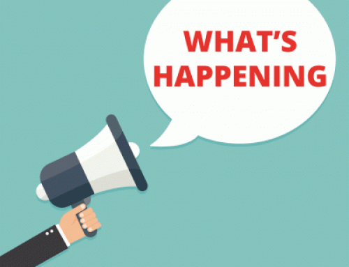 Social Studies Curriculum Review – Parent/Community Member Input Requested