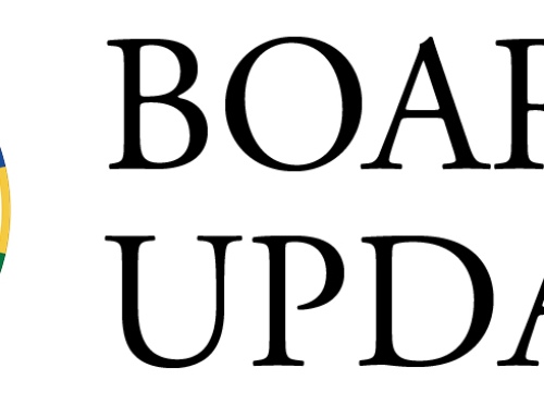 2025 ANNUAL MEETING AND ELECTION